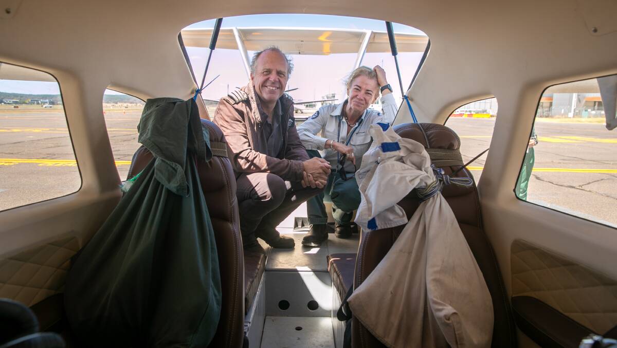 The two wallabies were transported to Dr Sarah May in Michael Smith's four-seater plane. Picture: Keegan Carroll