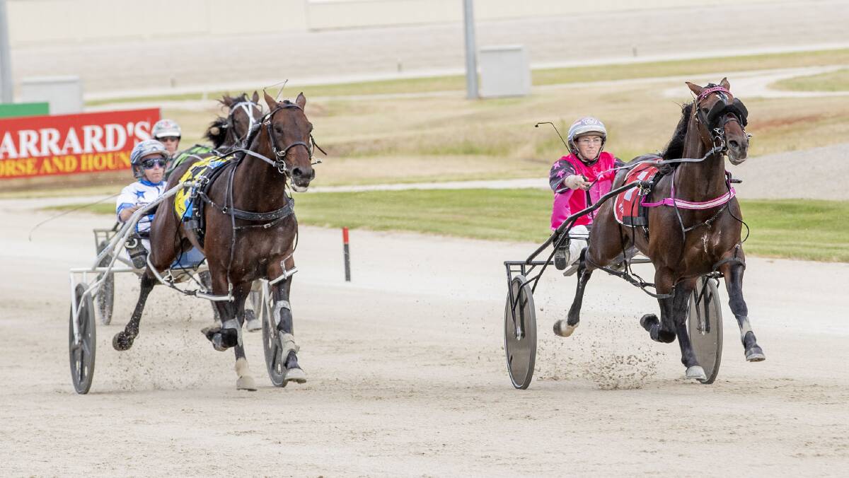 STRIDE FOR STRIDE: Lochinvar Art and Hurricane Harley race side-by-side with the finish line in sight. Photo: STUART MCCORMACK