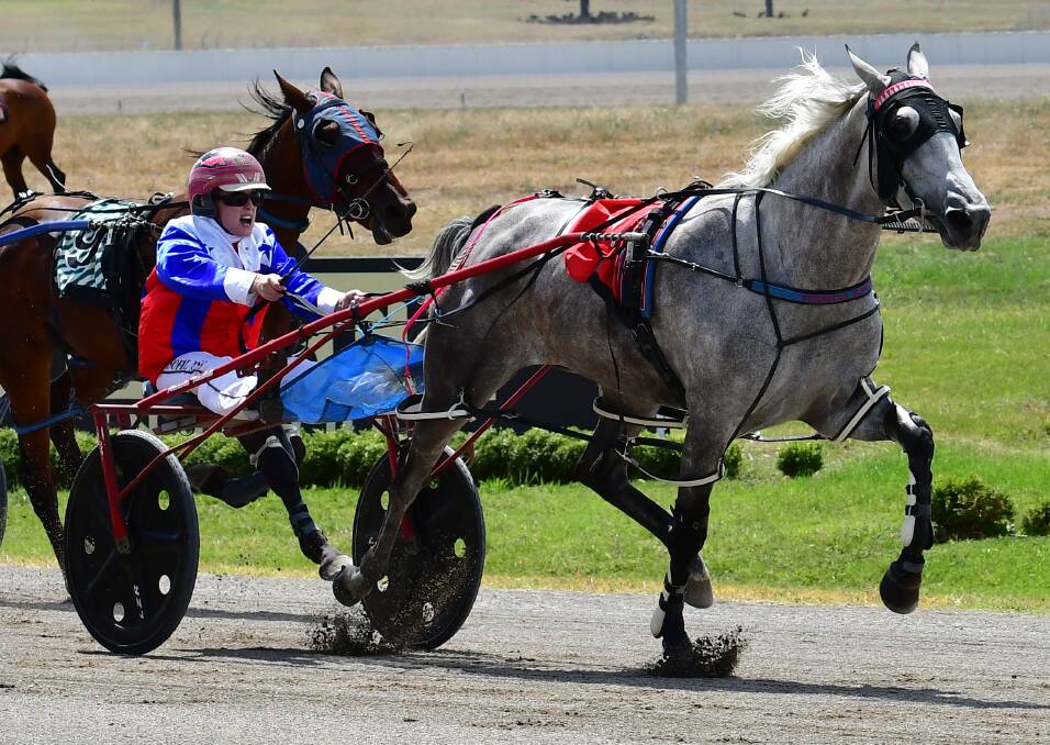 GREY MAKES 'EM PAY: Ashincharge leads the field home at Bathurst Paceway. Photo: ALEXANDER GRANT