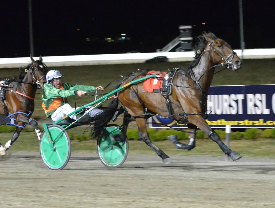 GOT GREAT FORM: Ominous Warning is among the leading hopes at this Wednesday night's Soldier's Saddle Semi-Finals at Bathurst Paceway. Photo: ANYA WHITELAW