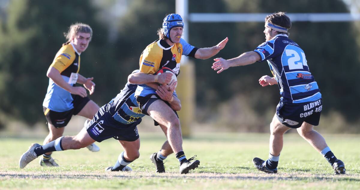 ON A MISSION: CSU scrum half Charlie Mansfield takes the ball forward during last week's win against the Blayney Rams. Photo: PHIL BLATCH