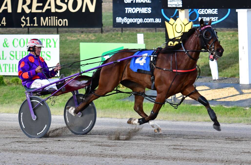 BATTLE: Alta Equus (pictured), Arma Naughty and The Mustang are the three top hopes in their race, and will be driven by Bernie, Gemma and Doug Hewitt respectively.
