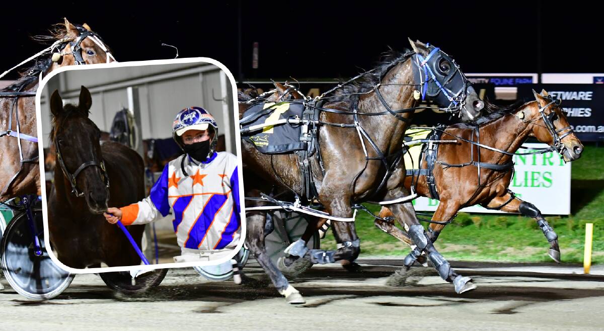 FLYING HOME: Justin Reynolds drove Sputnik (closest to camera) home to beat favourite Magnifico To Watch in Wednesday night's racing at Bathurst Paceway. Photos: ALEXANDER GRANT