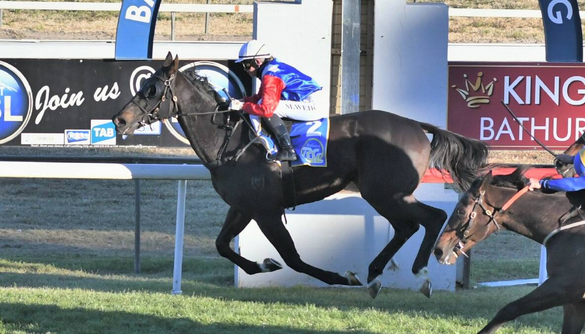 GOT IT THIS TIME: Zouologist wins the 2021 Bathurst RSL Club Soldier's Saddle after finishing runner-up in 2020. Photo: CHRIS SEABROOK