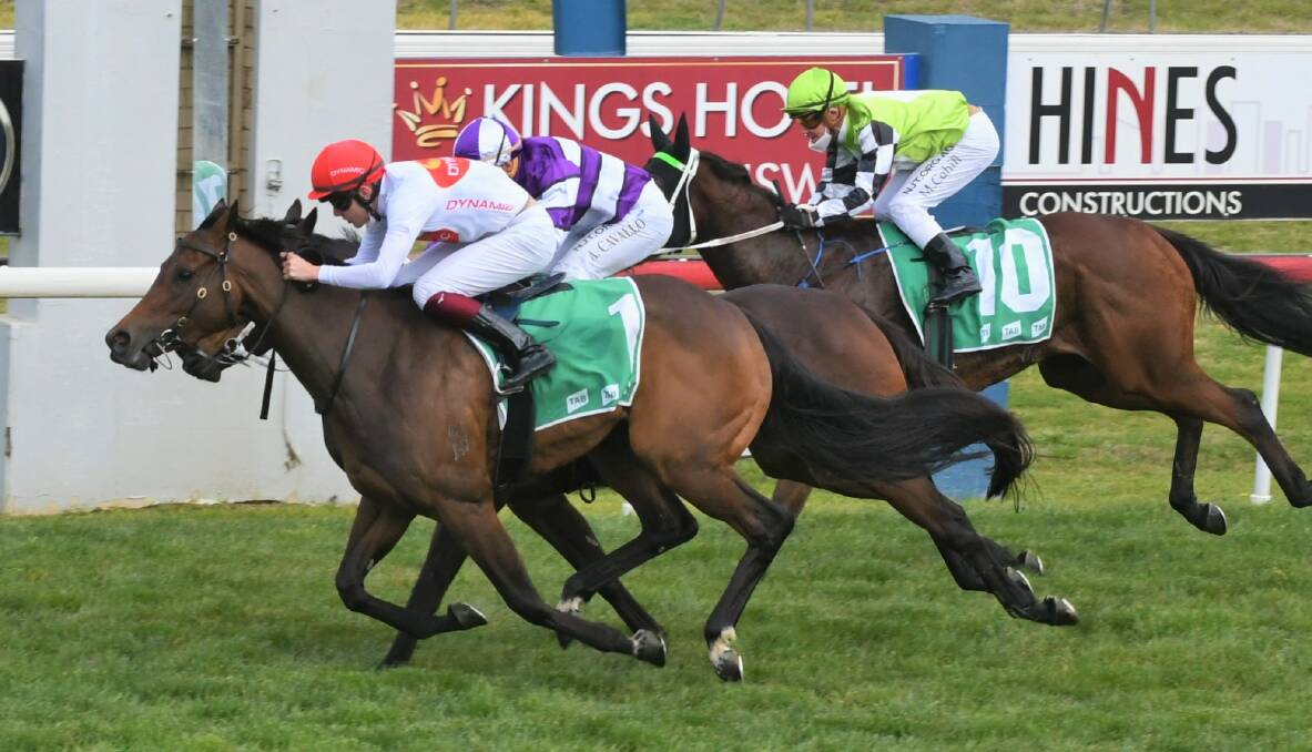 CLOSE ONE: Zouflu (closest to camera) hunts down Vascotto, with Summer Promise running third. Photo: CHRIS SEABROOK
