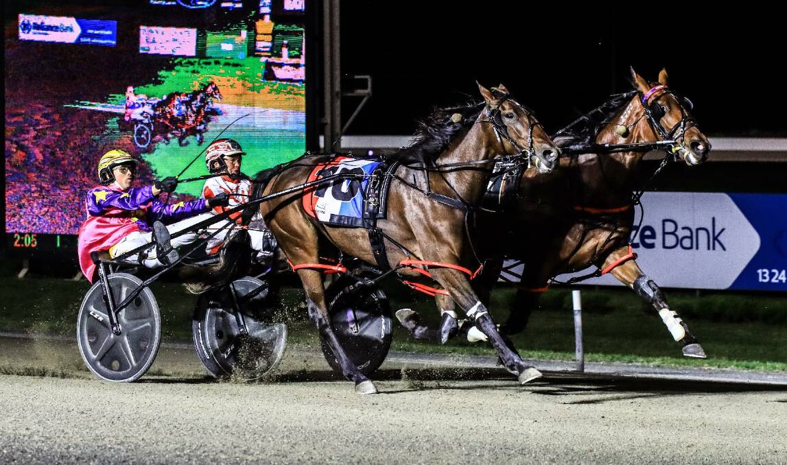 WHAT A FIGHT: Eve Crocker and Jewel Melody duel to the winning post in Friday night's Group 1 Bathurst Gold Tiara, with the latter getting up for Bernie Hewitt. Photo: COFFEE PHOTOGRAPHY