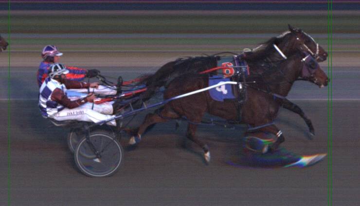 CLOSE: This was all that separated the front runners. Photo: AUSTRALIAN HARNESS RACING