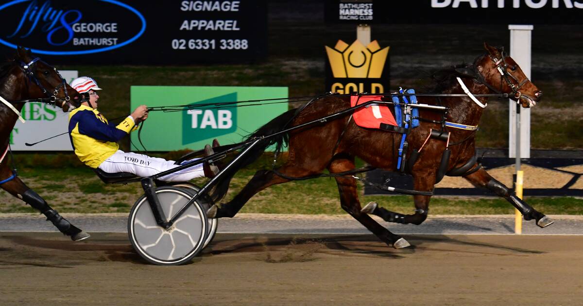 HITTING THE LINE: Todd Day drives home Roll With Rocky in Wednesday night's For A Reason Pace at Bathurst Paceway. Photo: ALEXANDER GRANT