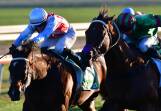 Sister Moon (left) and Wizard Of Oz hit the finish line together in The Panorama. Picture by Alexander Grant.