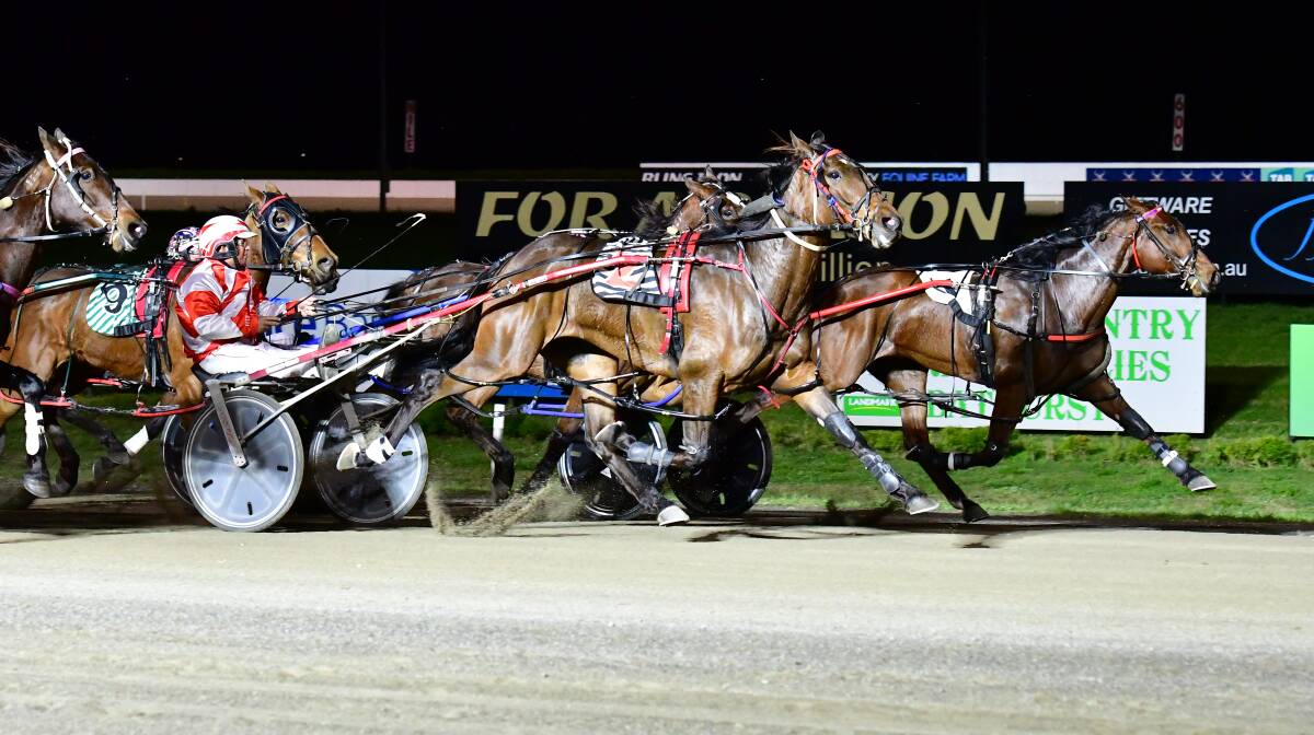 ON THE SCENE: Crazy Shippo and Doug Hewitt (right) poke along down the inside to give the colt his second straight win. Photo: ALEXANDER GRANT