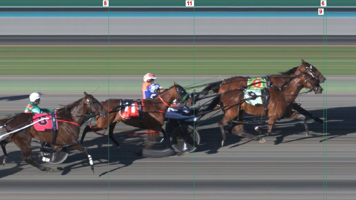 This is all that separated Our Crackling Rosie and Aliberto at the winning post. Photo by Harness Racing NSW.