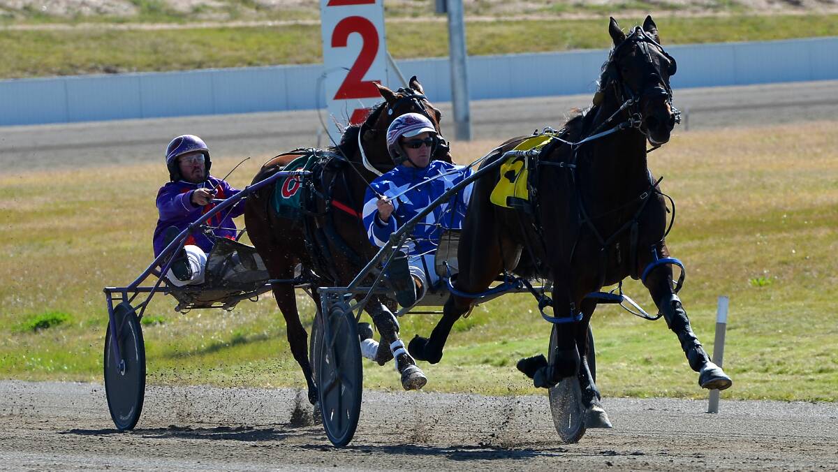 RACING WELL: Mat Rue drives Joint Venture to victory on debut. He's placed in his latest two starts on his return from a spell. Photo: ANYA WHITELAW