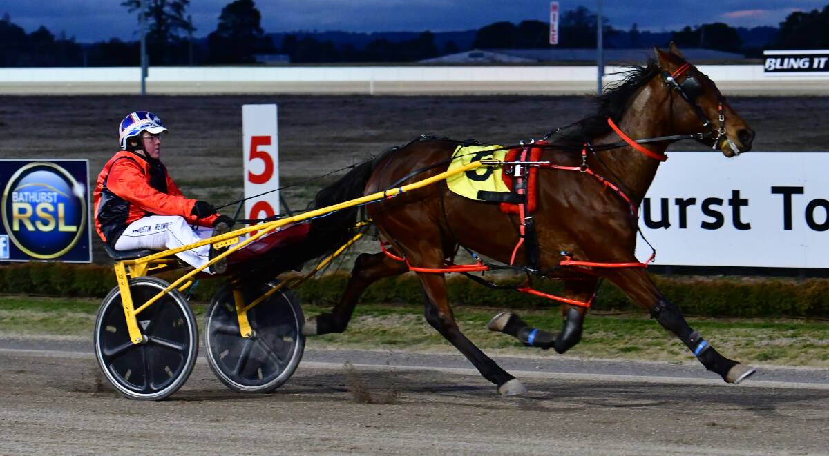 ALL THE WAY: Justin Reynolds drives Dunno Jo to victory at Bathurst Paceway on Wednesday night. The Blissfull Hall gelding led the entire distance as race favourite. Photo: ALEXANDER GRANT