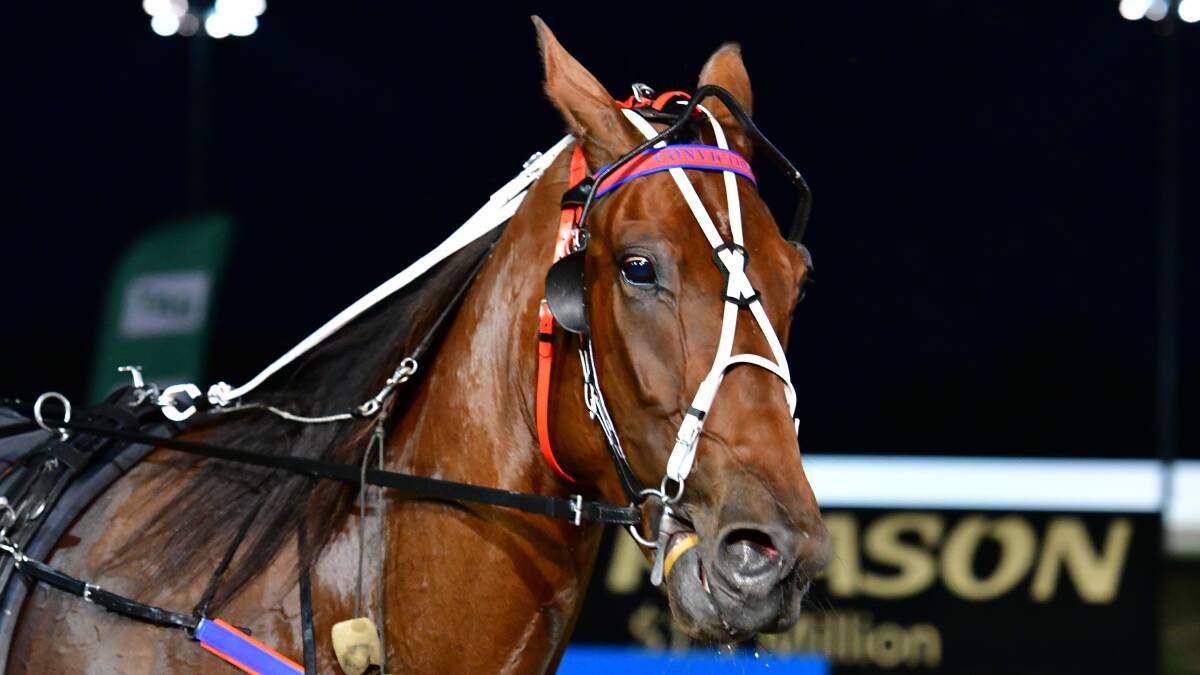 OUCH: Conviction wasn't handed a kind draw for this Saturday's Group 1 Allied Express Sprint at Menangle. Photo: ALEXANDER GRANT