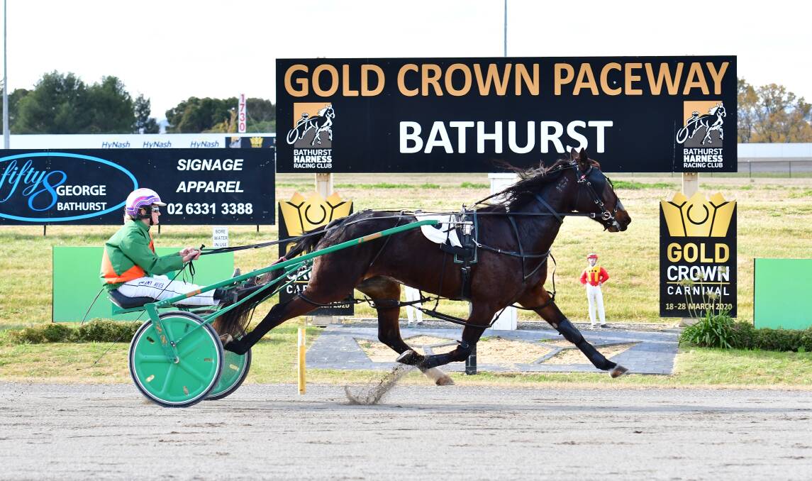 EASY MODE: Amy Rees guides Misdemeanor to victory at Sunday's meeting at Bathurst Paceway. Photo: ALEXANDER GRANT