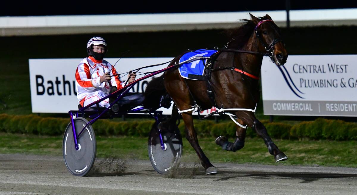 FLYING: Mach Assassin hits the line brilliantly to win for the trainer-driver combination of Bernie and Jason Hewitt. Photo: ALEXANDER GRANT