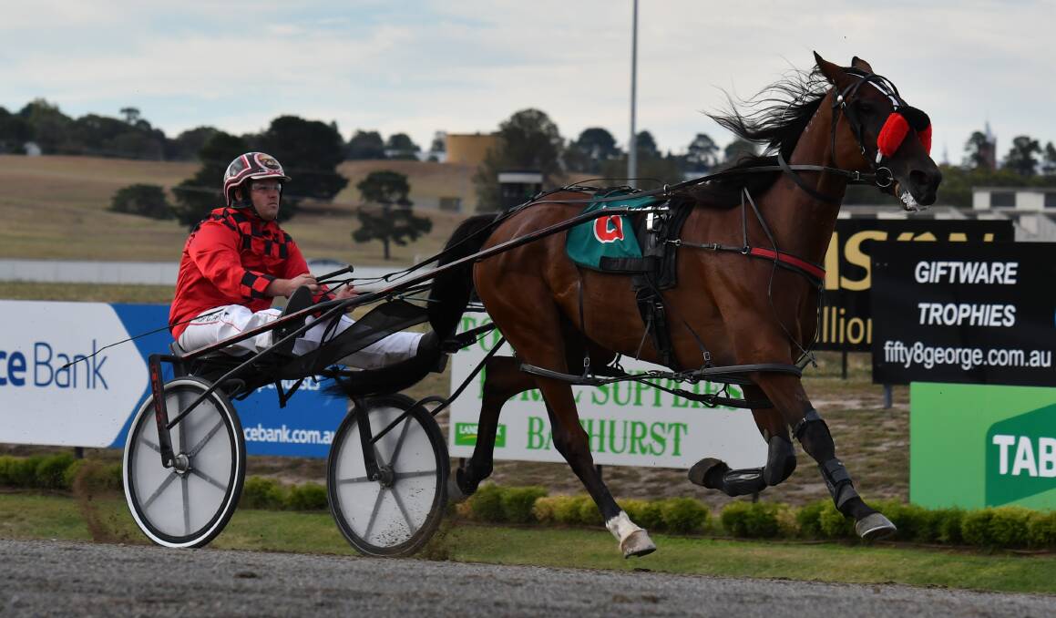 RACE TIME: Panther Star is in action this Wednesday night. Photo: ALEXANDER GRANT