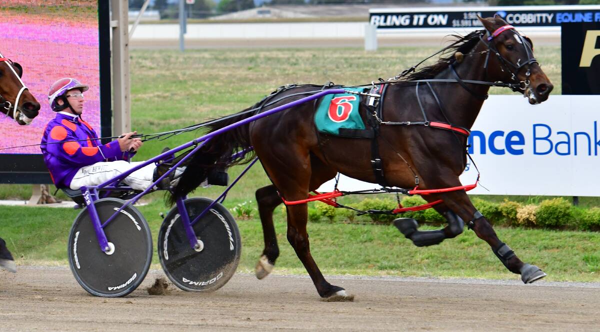 WON'T BE CAUGHT: Lord Denzel charges to a win at Bathurst Paceway. Photo: ALEXANDER GRANT