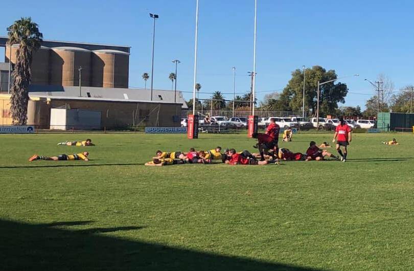 WHAT'S THE BUZZ: CSU and Narromine Gorillas players lie down as a swarm of bees make their way through Cale Oval. Photo: NARROMINE GORILLAS FACEBOOK