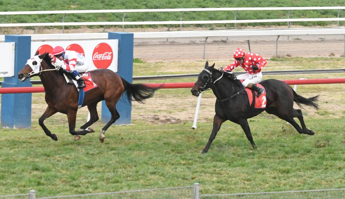 OUT IN FRONT: Written In Vain (left) holds on for victory ahead of Funky Music at Tyers Park on Monday. Photo: CHRIS SEABROOK
