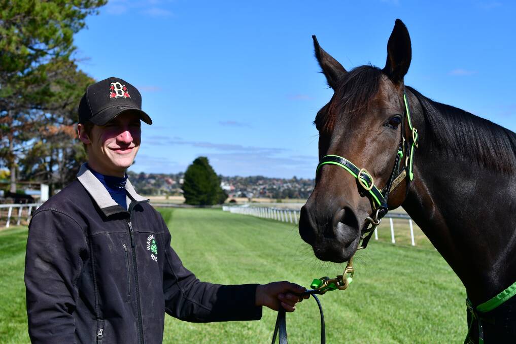SADDLE SHOT: Will Stanley with Speed Camera, who is the sole Bathurst-trained representative in this Sunday's Bathurst RSL Club Soldier's Saddle. Photo: ALEXANDER GRANT