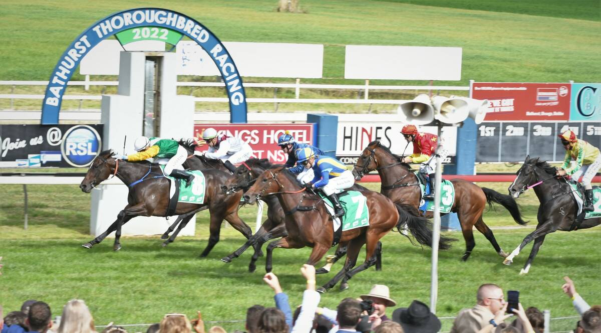 GREAT DEBUT: Seaside Sandy (left) takes out the opening event of the Soldier's Saddle meeting on Monday afternoon ahead of a closely-packed group of challengers. Photo: CHRIS SEABROOK