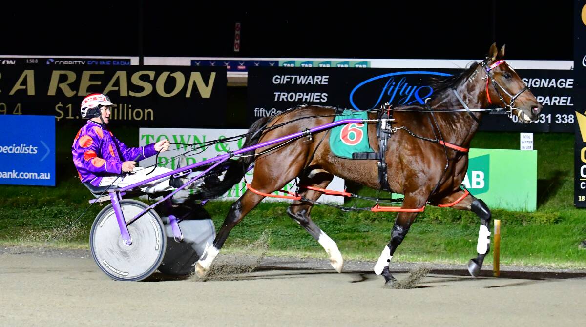 EASY: Make Mine Mephis casually saunters over the line to winning the second of the night's Regional Championships heats. Photo: ALEXANDER GRANT
