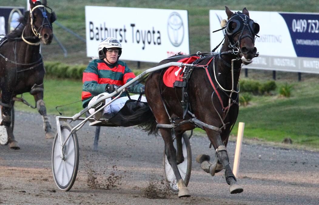 ON SONG: Swaggie Shannon defied his odds to finish runner-up in last week's opening round of TAB Western Regional Championships Heats. Photo: PHIL BLATCH