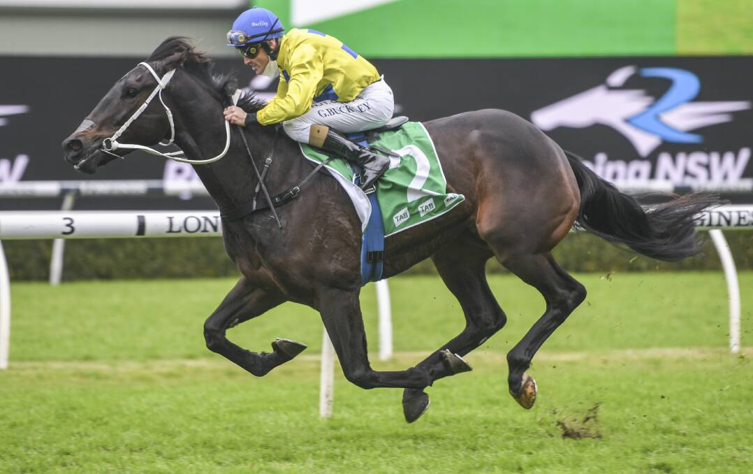 CITY SUCCESS: From The Bush led all the way in his Highway Handicap victory. Photo: BRADLEY PHOTOS