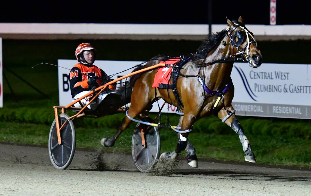 WHOOSH: Private Eye storms to the finish in Wednesday night's NSW Breeders Challenge 3YO Colts and Geldings Heat. Photo: ALEXANDER GRANT