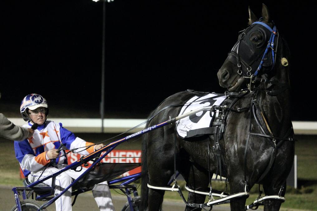 ON THE MEND: Sputnik will take part in the TAB Regional Championships series for the second season running, continuing to improving after a freak accident in the paddock several months ago. Photo: AMY REES