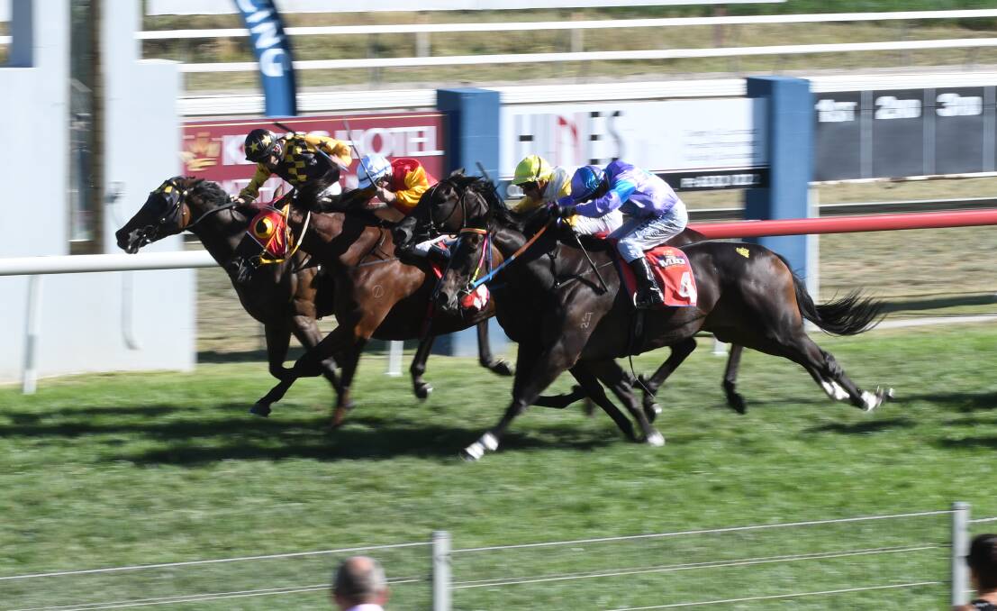 NEW RACE: It's possible that contenders in this year's Bathurst Cup will have the chance to compete in a new $2,000,000 event on Melbourne Cup day. The Big Dance will be run for the first time this year. Photo: CHRIS SEABROOK
