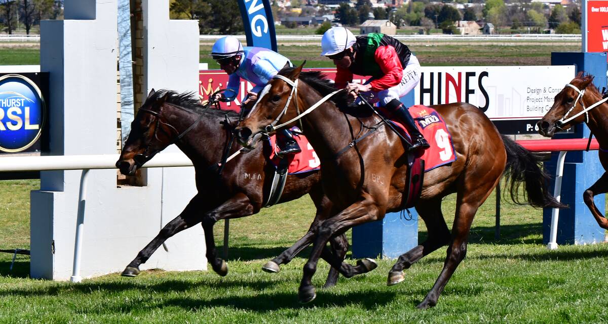 BIRDY FLIES HOME: Birdy (right) beats Time Immemorial to the line by a head to win at Tyers Park. Photo: ALEXANDER GRANT