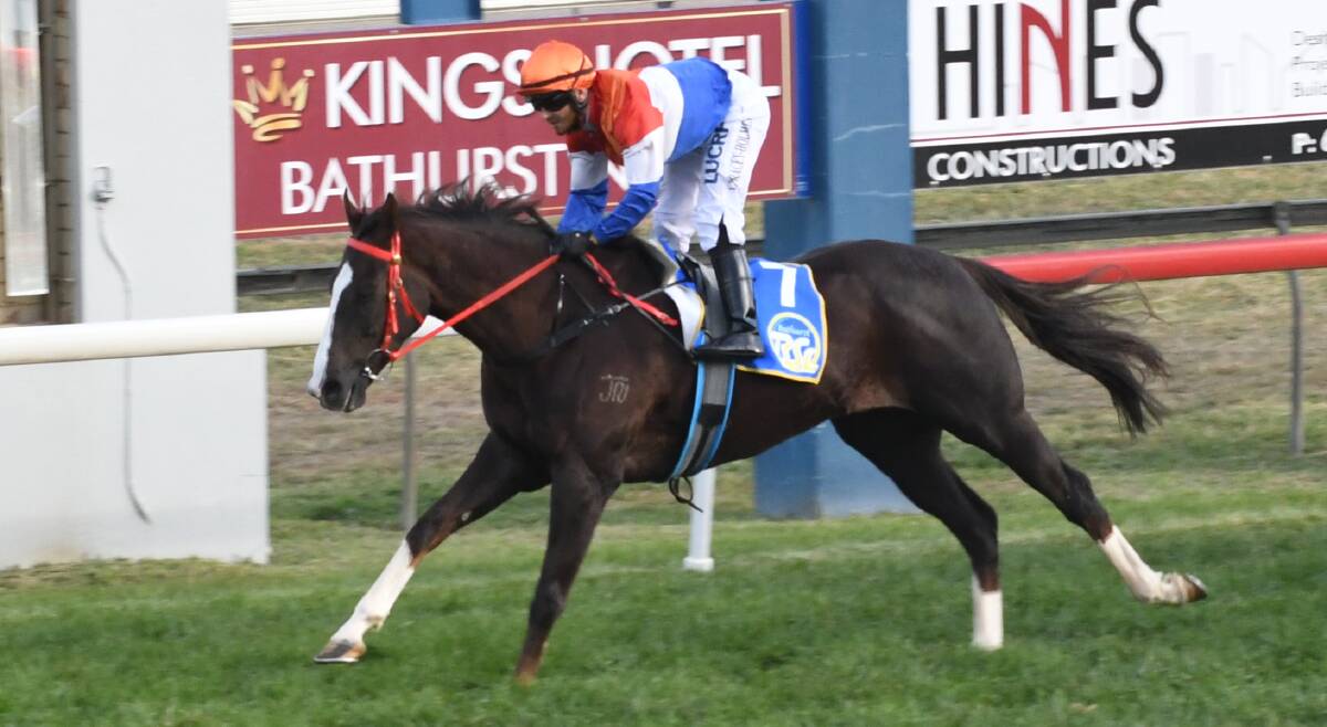 CHAMPION: Beau Hoffa took out Wednesday's Bathurst RSL Soldier's Saddle (1,400 metres) at Tyers Park. Photo: CHRIS SEABROOK