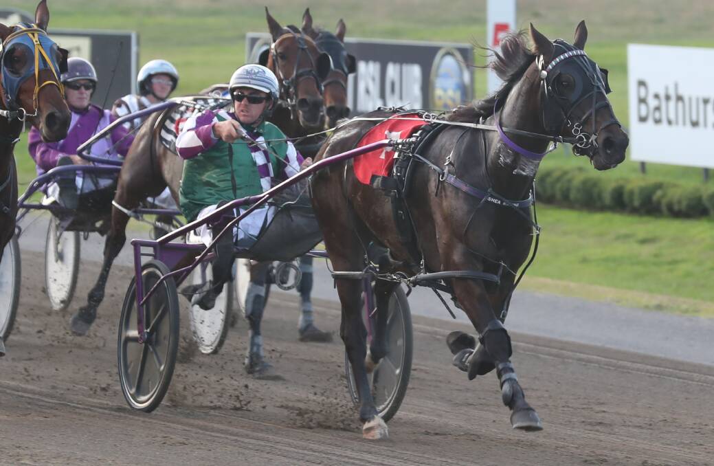 TWO FROM TWO: Hot Embers stays clear of the field to win Monday afternoon's Reliance Bank Pace (1,730 metres) at Bathurst Paceway. Photo: PHIL BLATCH
