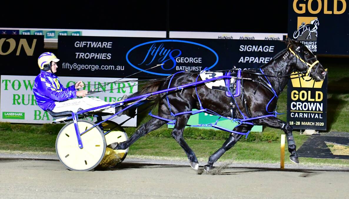 VICTORY: Uncle Jord goes past the winning post in Wednesday night's TAB Western Regional Championships Heat. Photo: ALEXANDER GRANT