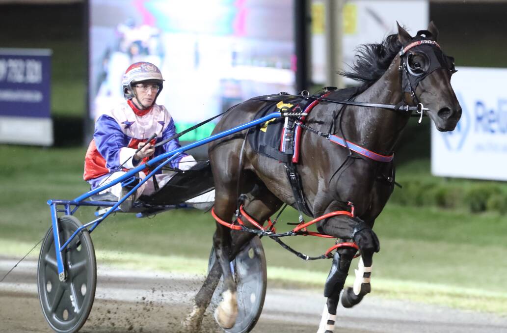 SPECIAL MOMENT: Atomic Red is among a group of Bathurst horses who are set to race in a home Inter Dominion Heat next month. Photo: PHIL BLATCH