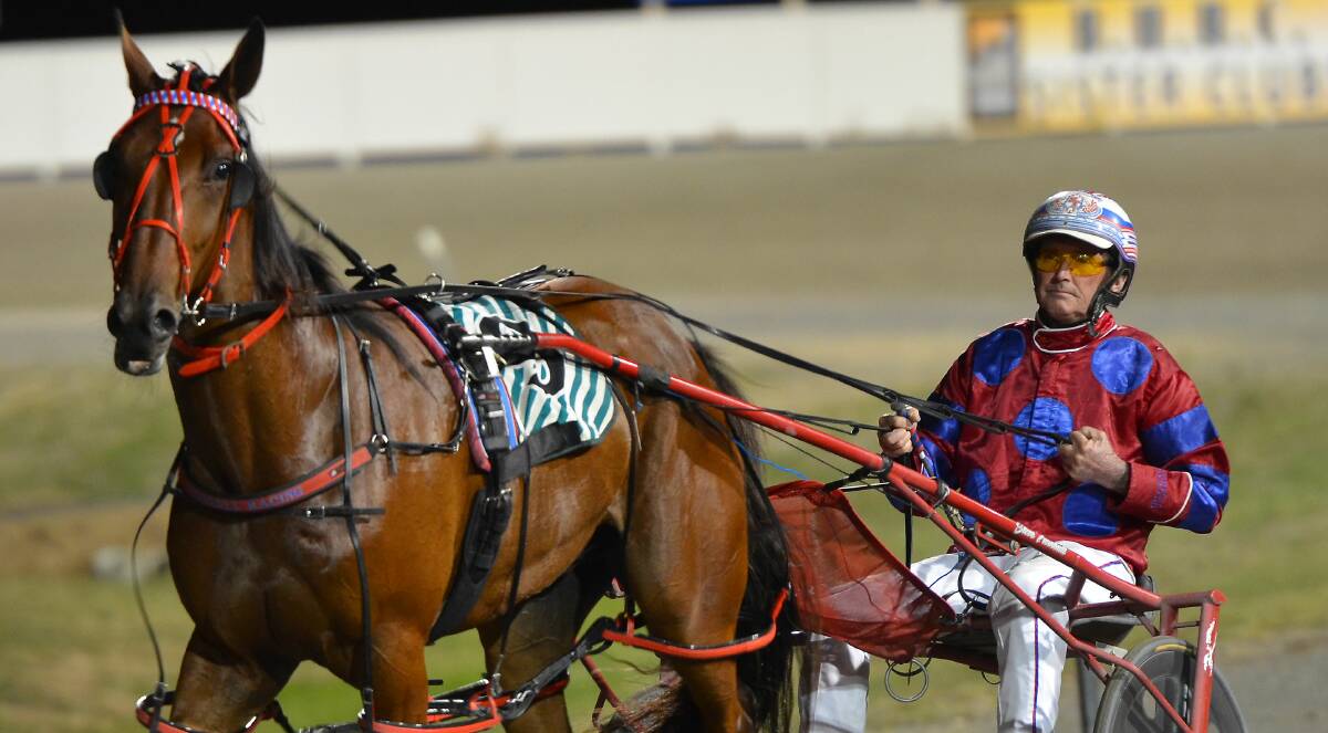 BOUNCE BACK: Maximus Red will be a strong chance in this Thursday's Parkes Cup for Steve Turnbull. Photo: ANYA WHITELAW