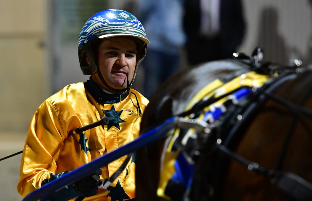 TALENT: Alta Orlando and Cruz will take on the Shirley Turnbull Memorial after Luke McCarthy (pictured) drove both of the Craig Cross-trained geldings to recent victories at Menangle. Photo: ALEXANDER GRANT