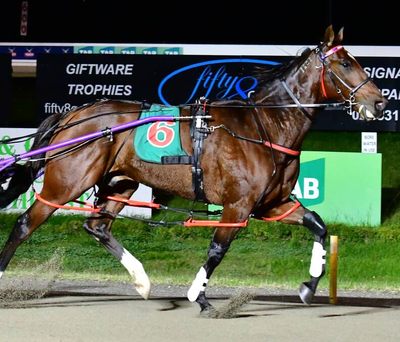 CHANGE OF PLANS: Make Mine Memphis was penned in for a Group 3 bid on Saturday but was forced to withdraw due to lockdown laws in Sydney. Photo: ALEXANDER GRANT