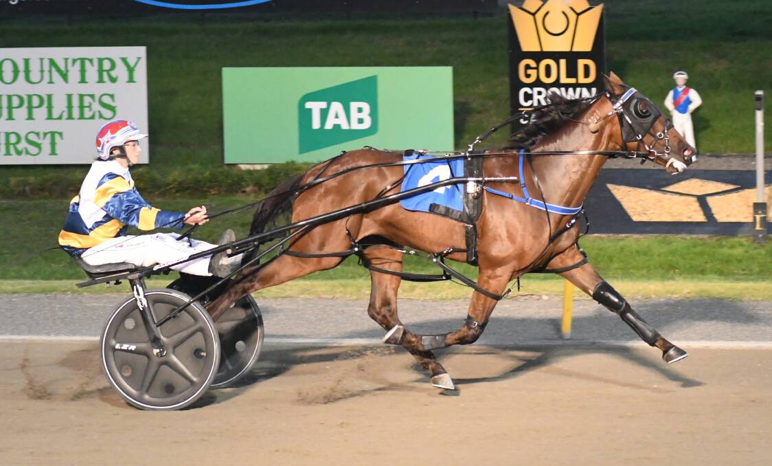 FAMILIAR FACE: Amanda Turnbull drove Mach Dan in last year's Gold Crown series but goes up against him on Monday. Photo: CHRIS SEABROOK