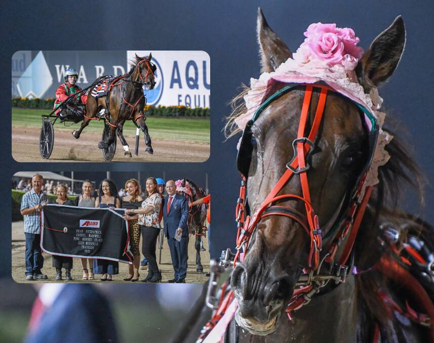 FLYING FILLY: Silk Cloud sports her bonnet after taking out the Group 2 event at Menangle on Saturday. Photos: KATE BUTT CLUB MENANGLE