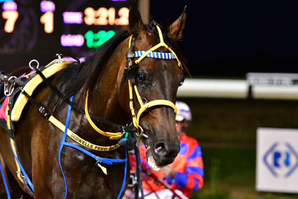 GOING SOUTH: Our Uncle Sam takes on the Ballarat Cup on Saturday. Photo: ALEXANDER GRANT