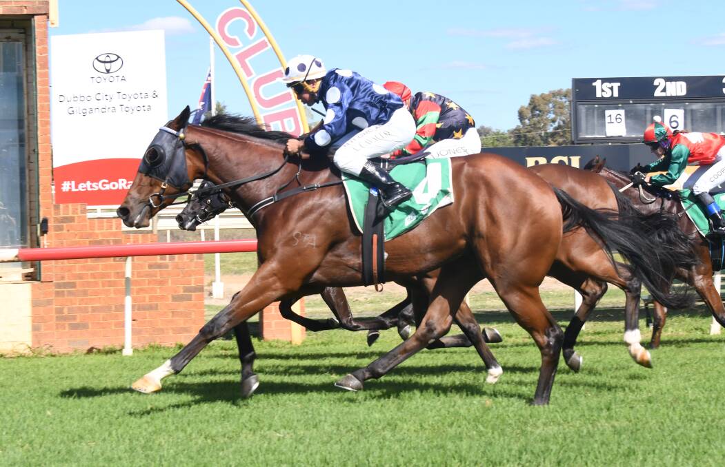 LATE SURGE: Life Well Lived takes out his maiden victory in impressive fashion at Dubbo on Sunday. Photo: AMY MCINTYRE