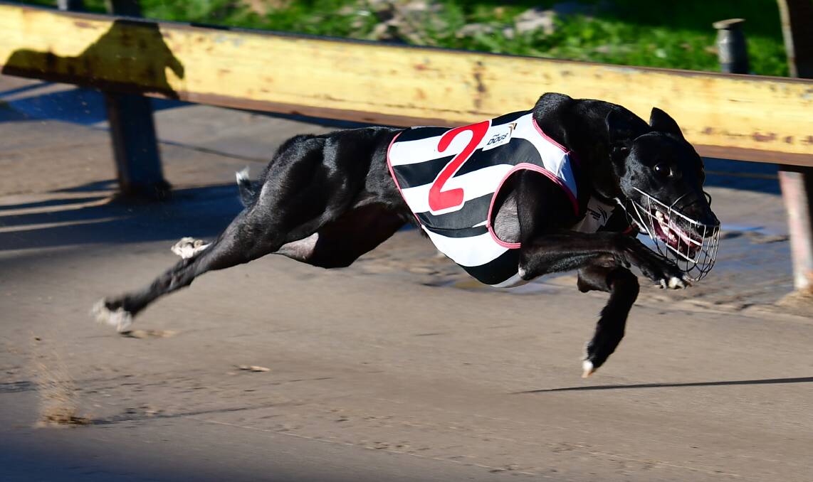 FIRST WIN: Ritza Runner flashes around the turn for home. Photo: ALEXANDER GRANT