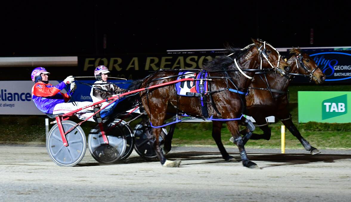 GOT THERE: Just Won More (closest to camera) pips Karloo Bradley on the line to win the second event at Bathurst Paceway. Photo: ALEXANDER GRANT