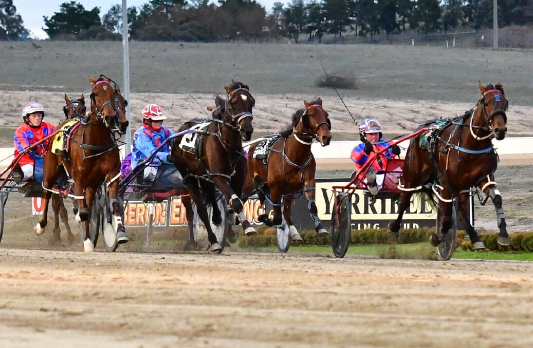 IN FORM: Lucky Lyla (right) and Itsallaboutned were winners at Dubbo for Josh Turnbull. Photo: ALEXANDER GRANT