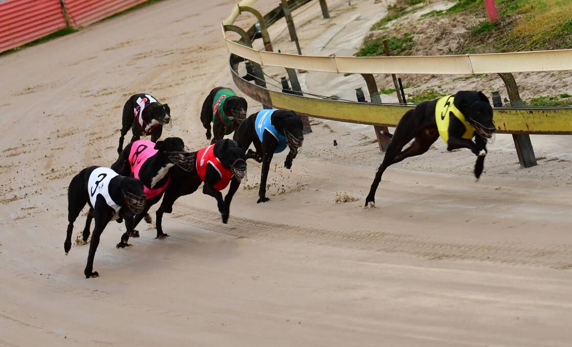 THANKS FOR THAT: Barney's Sure (right) sneaks along the rail as the rest of the field bunches up in Monday's race at Kennerson Park. Photo: ALEXANDER GRANT