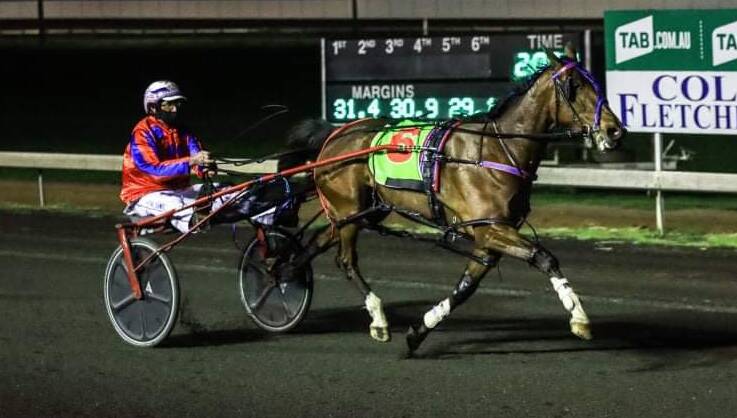 DOMINANT: Steve Turnbull drives Pas De Cheval to an easy win in Friday night's heat at Parkes. Photo: COFFEE PHOTOGRAPHY