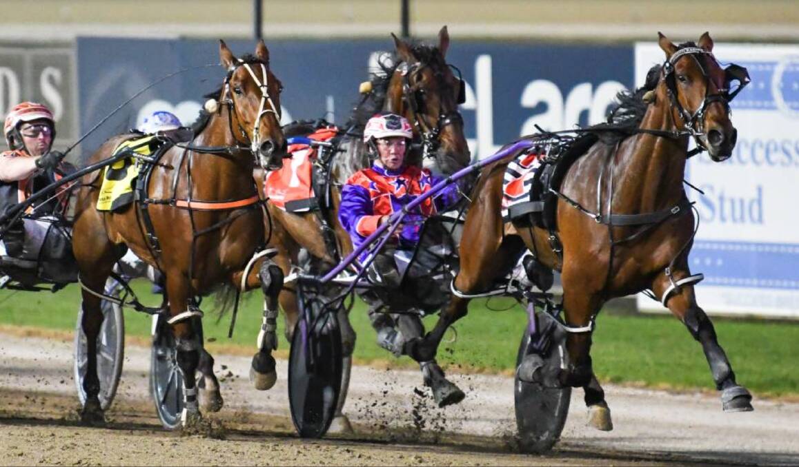 Kash Tin will look to follow the same career trajectory as sibling Kashed Up (pictured). Picture by Club Menangle.
